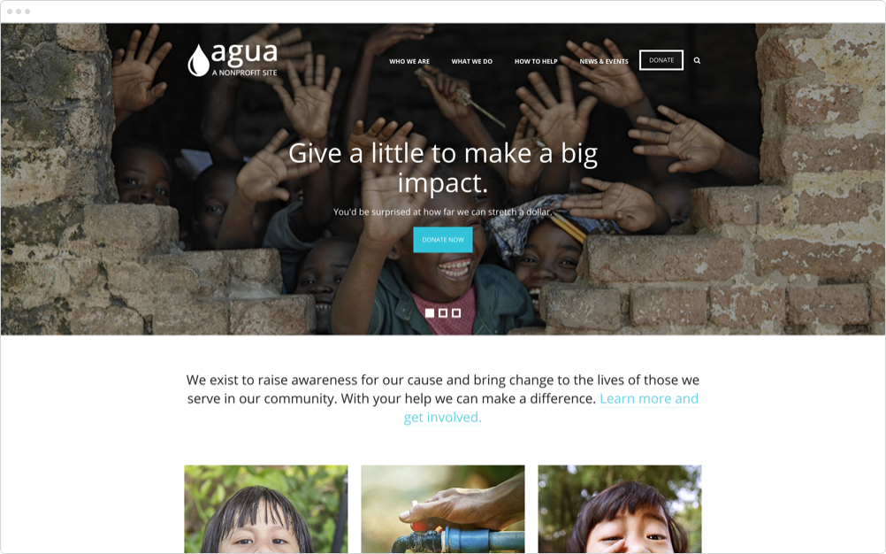 Nonprofit Website Design Agua