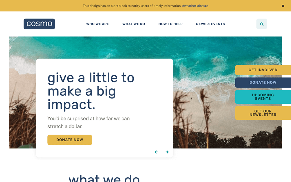 nonprofit-design-cosmo