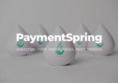 White background with tear drop shaped objects containing a green logo for paymentspring. Text; PaymentSpring, animation, copy, design, media, print, website.